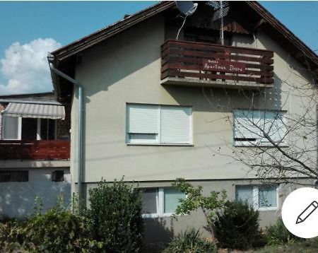 Appartement Drava 1 Donja Dubrava Dış mekan fotoğraf