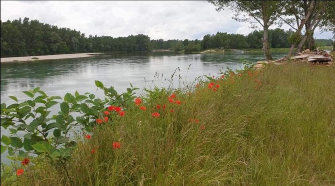Appartement Drava 1 Donja Dubrava Dış mekan fotoğraf